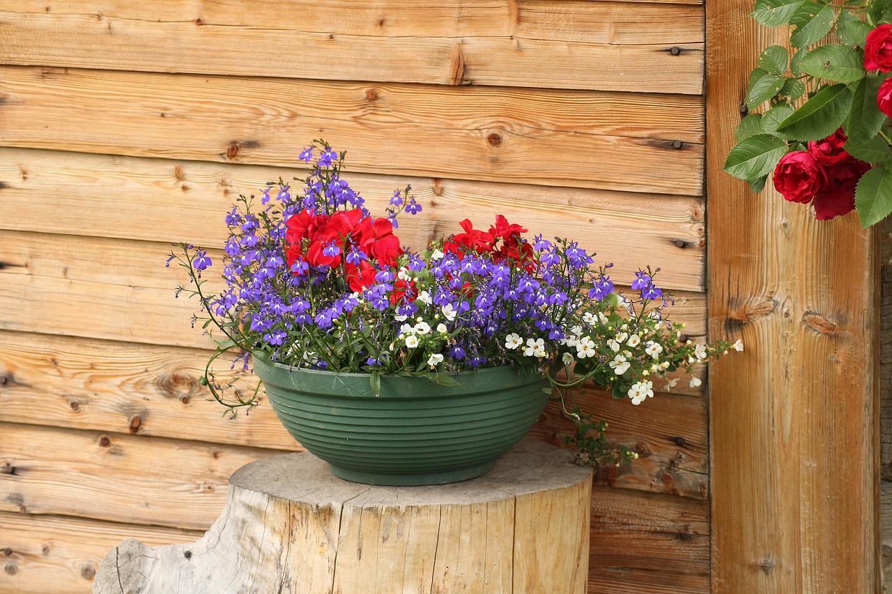 3 Pomysły na donice z kwiatami, które mogą zmienić Twój dom w piękny krajobraz